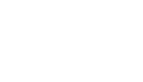 FECON-MG